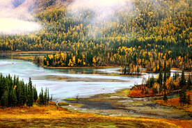 新疆喀纳斯风光