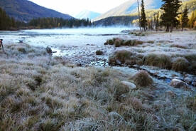 新疆喀纳斯风光