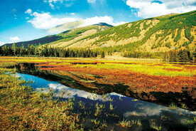 新疆喀纳斯风光