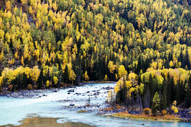 新疆喀纳斯风光