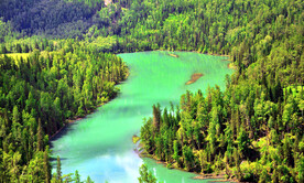 新疆喀纳斯风光