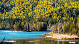 新疆喀纳斯风光