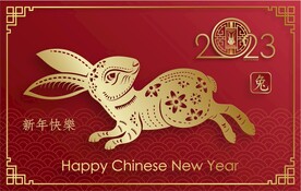 新年兔年贺岁2023主题贺岁
