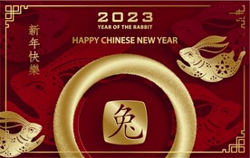 新年兔年贺岁2023主题贺岁素