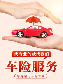 车险 