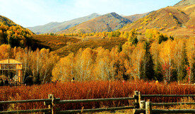 新疆喀纳斯风光