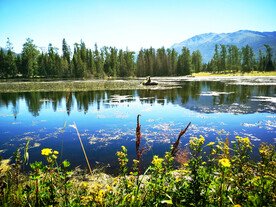 新疆喀纳斯风光