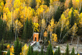 新疆喀纳斯风光