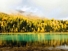 新疆喀纳斯风光