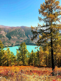 新疆喀纳斯风光