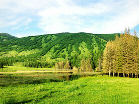 新疆喀纳斯风光