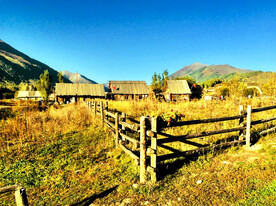 新疆喀纳斯风光