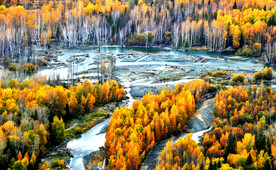 新疆喀纳斯风光