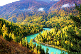 新疆喀纳斯风光