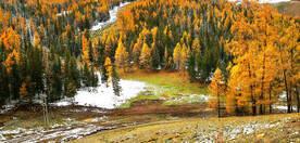 新疆喀纳斯风光