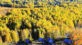 新疆喀纳斯风光