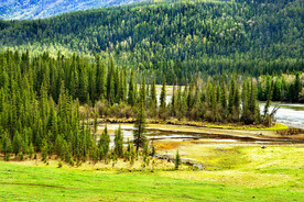 新疆喀纳斯风光