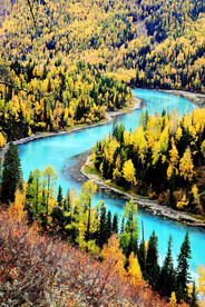 新疆喀纳斯风光