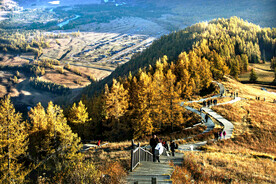 新疆喀纳斯风光