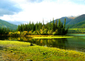 新疆喀纳斯风光