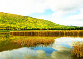 新疆喀纳斯风光