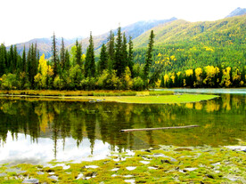 新疆喀纳斯风光