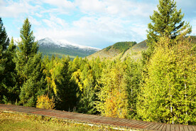 新疆喀纳斯风光