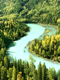 新疆喀纳斯风光