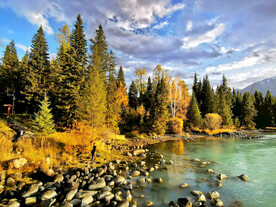 新疆喀纳斯风光