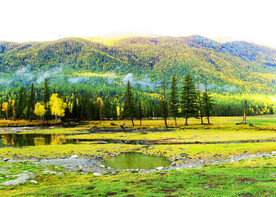 新疆喀纳斯风光