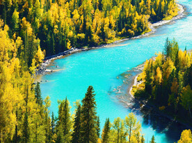 新疆喀纳斯风光