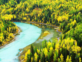 新疆喀纳斯风光