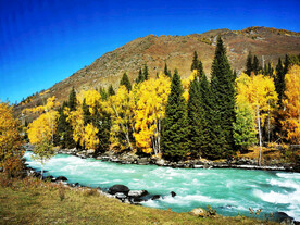 新疆喀纳斯风光