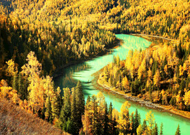 新疆喀纳斯风光