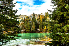 新疆喀纳斯风光