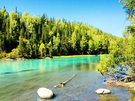 新疆喀纳斯风光