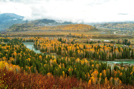 新疆喀纳斯风光