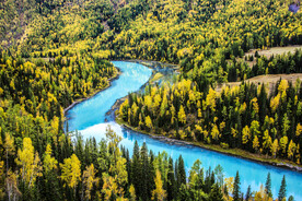 新疆喀纳斯风光