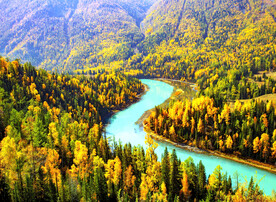 新疆喀纳斯风光