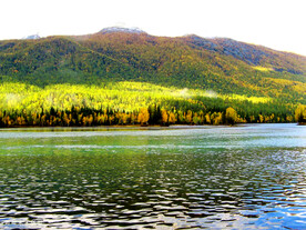 新疆喀纳斯风光