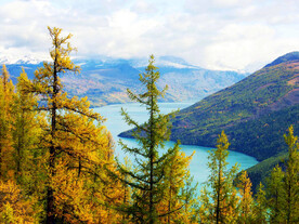 新疆喀纳斯风光