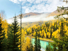 新疆喀纳斯风光