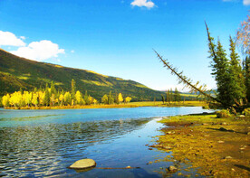 新疆喀纳斯风光