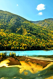 新疆喀纳斯风光