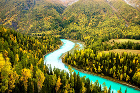 新疆喀纳斯风光