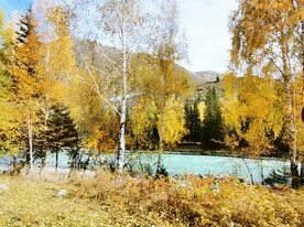 新疆喀纳斯风光