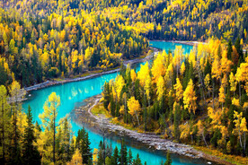 新疆喀纳斯风光