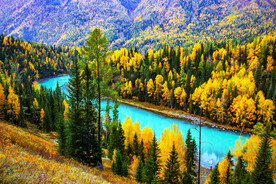 新疆喀纳斯风光