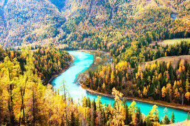 新疆喀纳斯风光