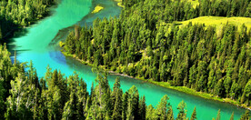 新疆喀纳斯风光